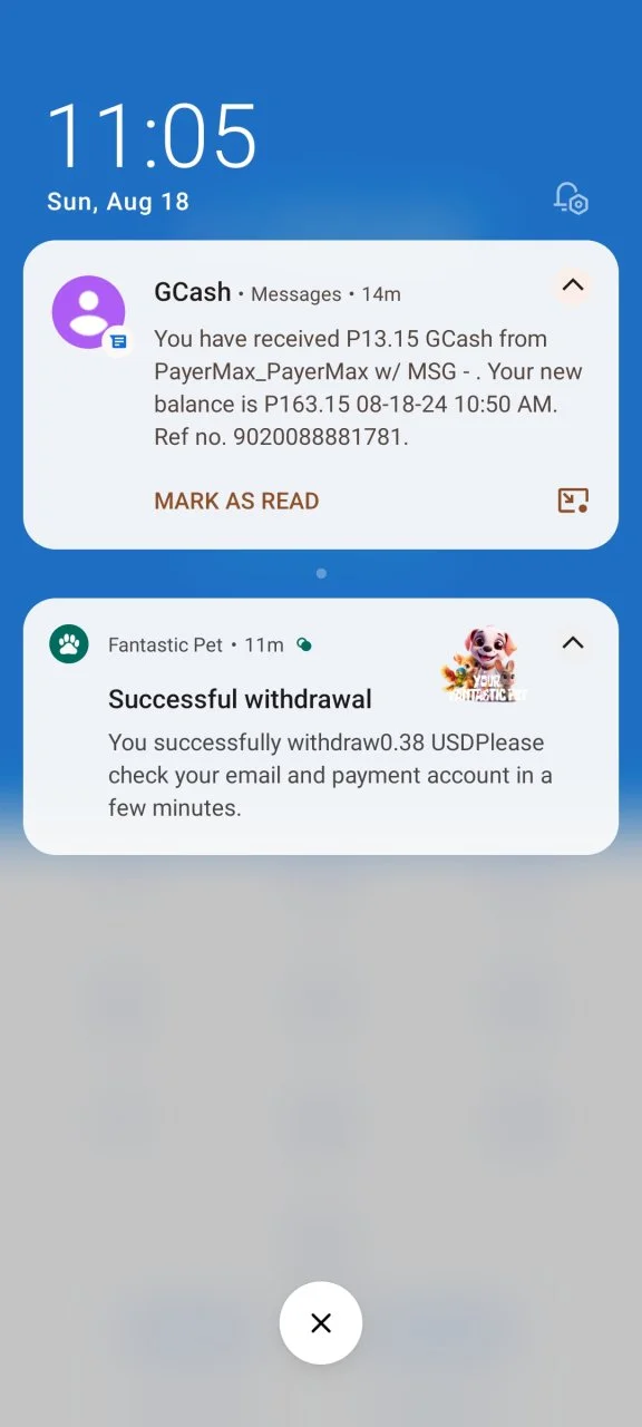 Screenshot_2024-08-18-11-05-47-639_com.globe.gcash.android.webp