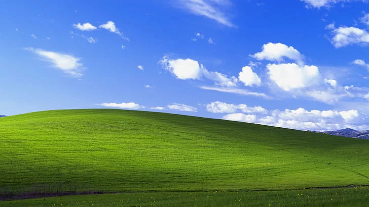 1724052000223.png