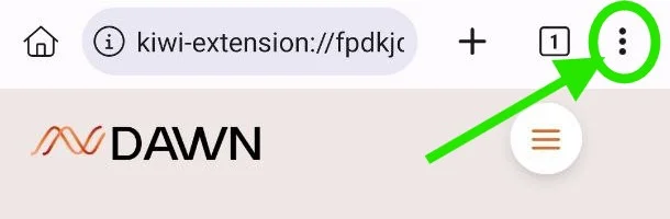 KiwiBrowser.jpg