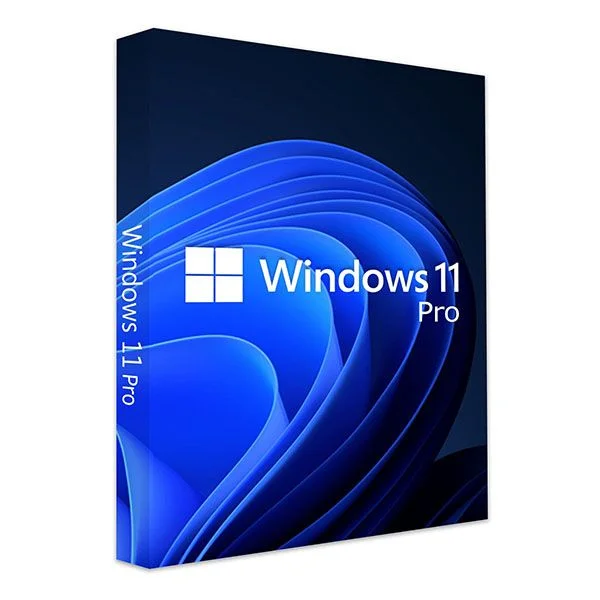 Windows-11-Pro.jpg