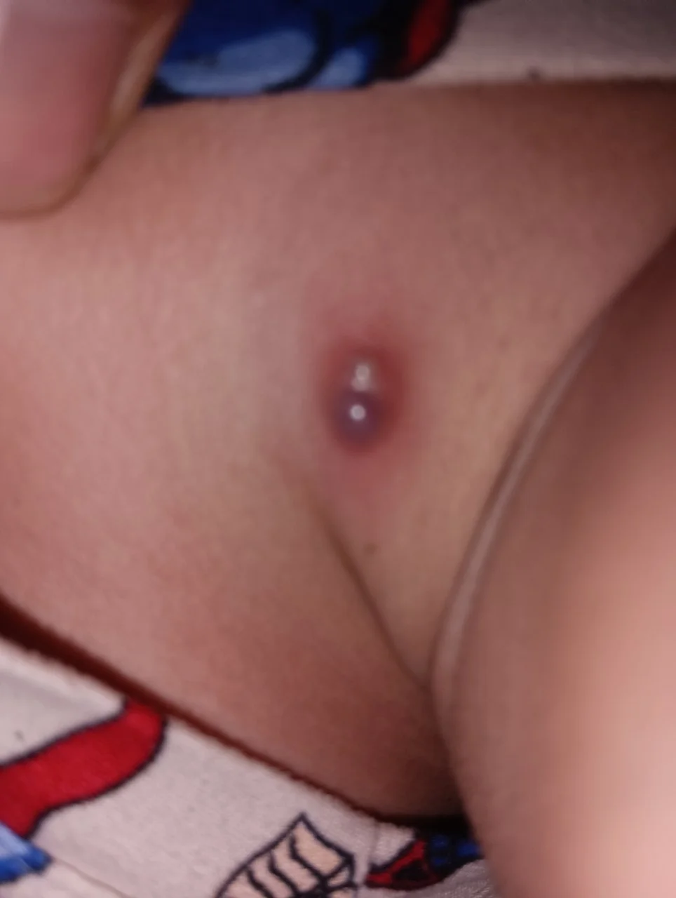 IMG_20240827_002156.jpg