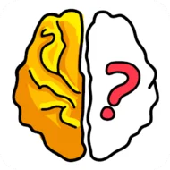 brain.webp