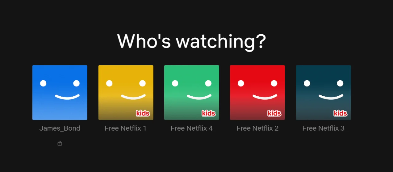 NETFLIX 1.PNG