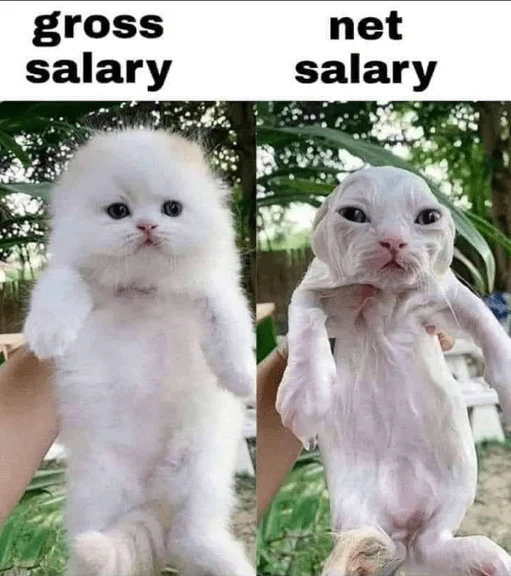 1725013591745.webp