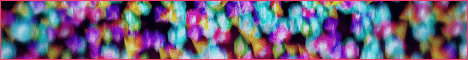 standard-1.gif