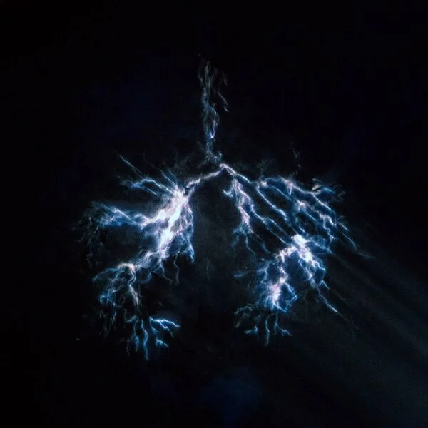 Elevation Worship  When Wind Meets Fire 2024