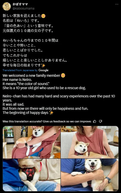 1726306161778.png