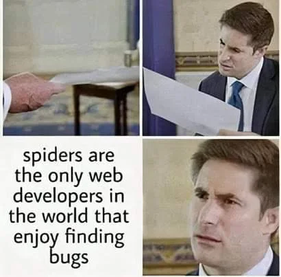 Spider Facts.webp