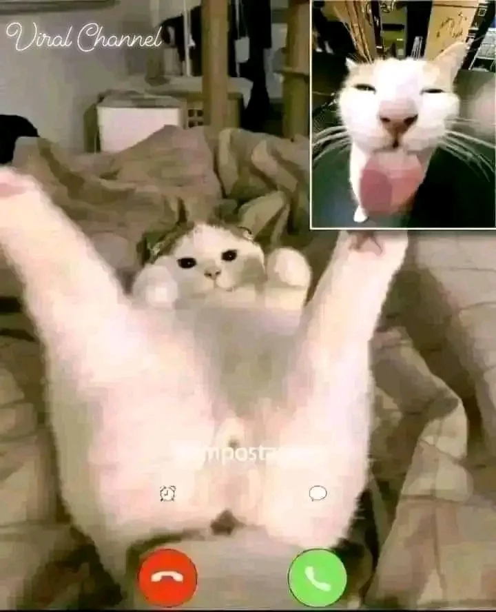 1727787039116.webp