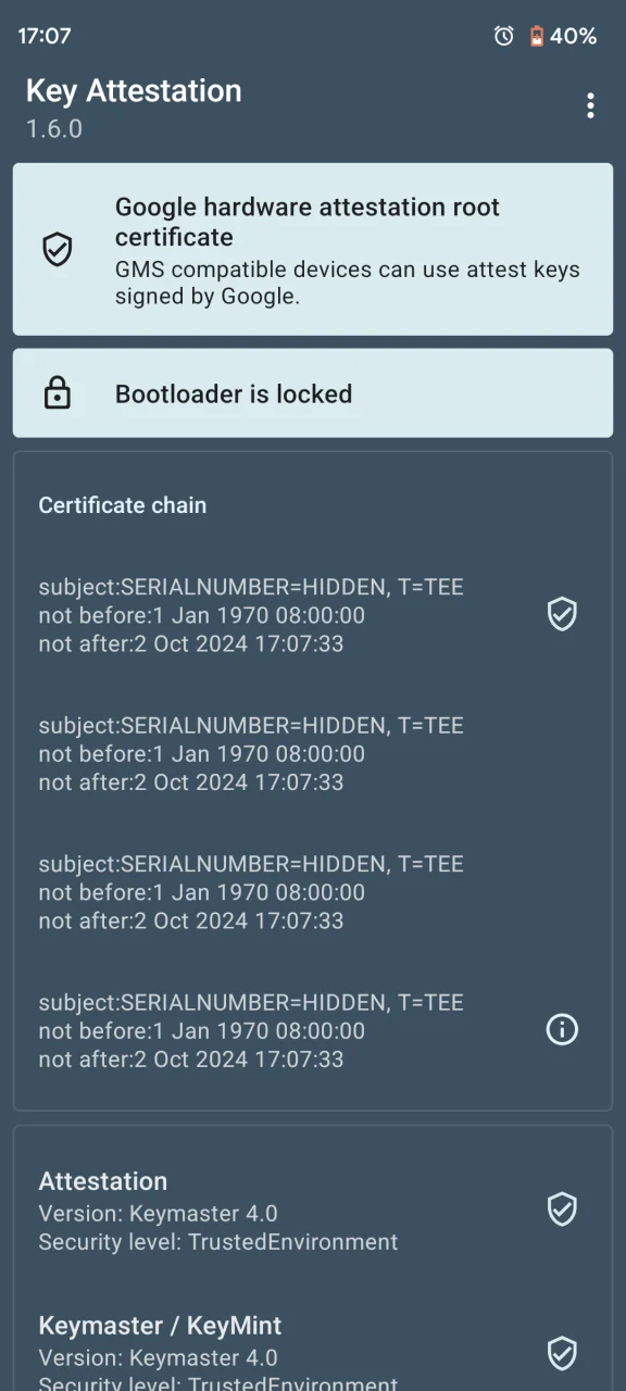 Screenshot_20241002-170740_Key_Attestation.png