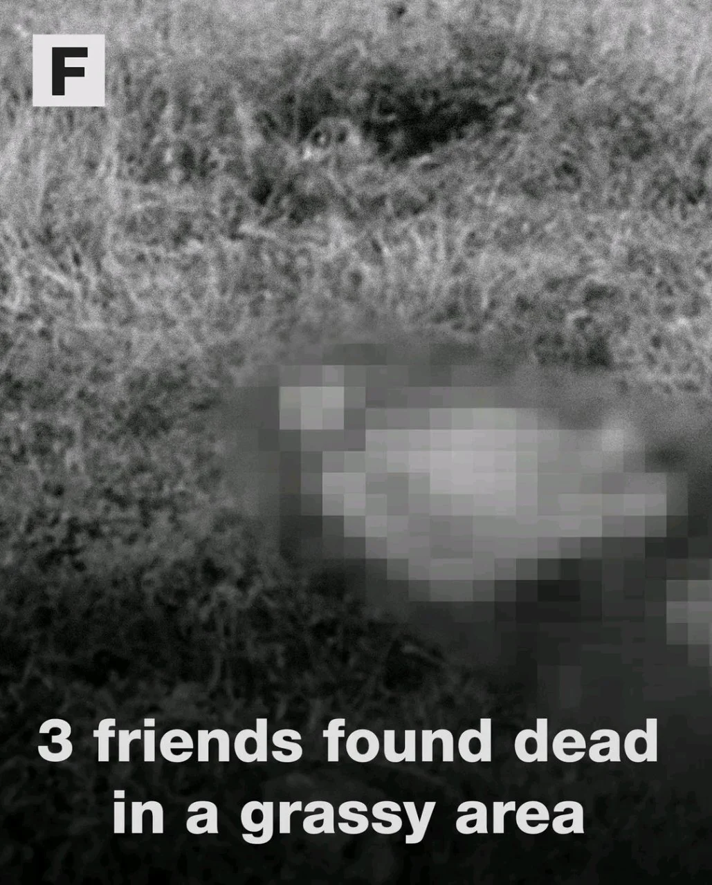 3 Friends Found Dead In Grassy Area