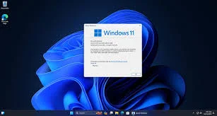 1727932838019.webp