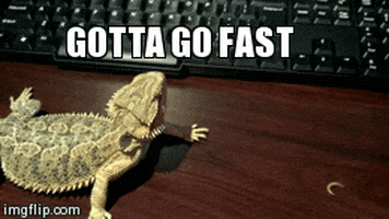 200.gif