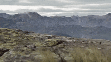 200.gif