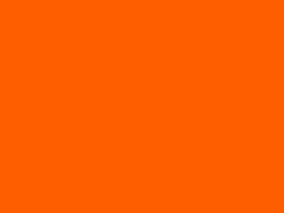 1000023348.webp