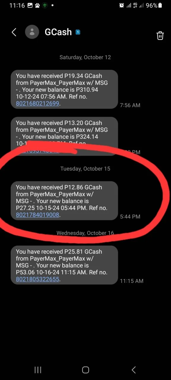 Screenshot_20241016_111656_Messages.webp