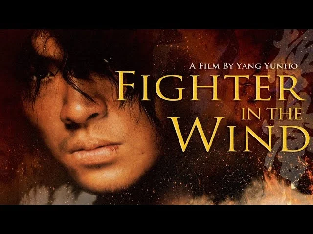 Fighter In The Wind (2004) Dual Audio.Hindi-Korean.Esubs.1080p.720p. BluRay