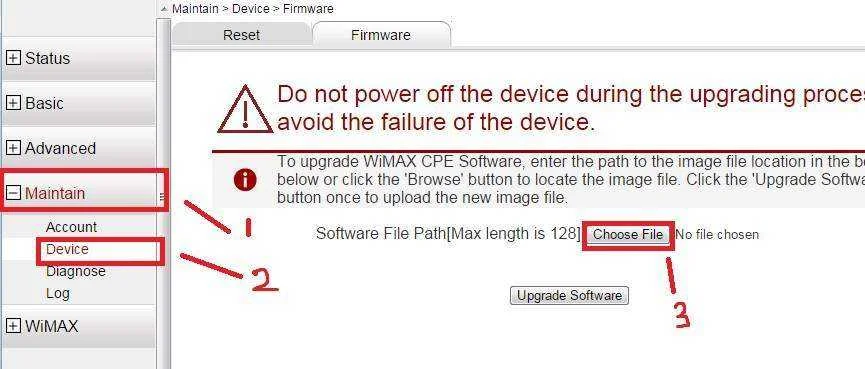 tut1.webp