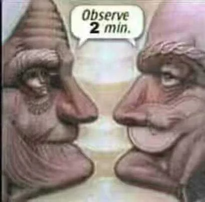 Observe