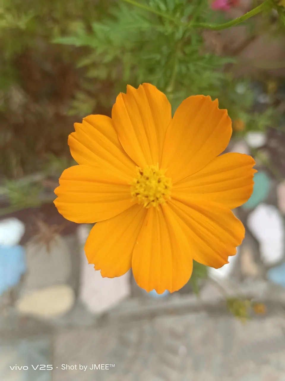 1000022200.webp