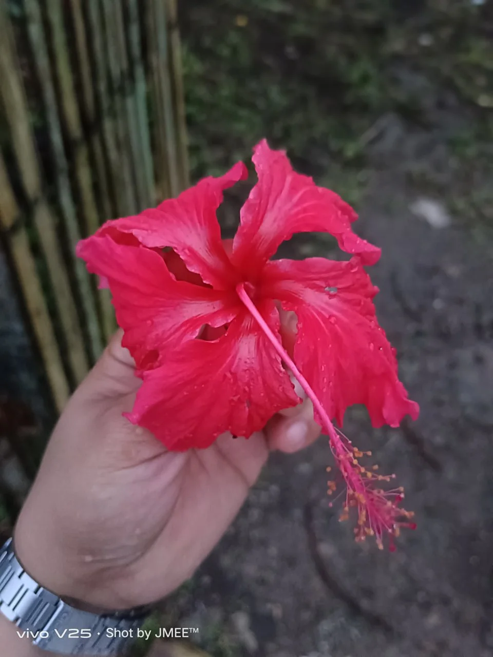 1000019536.webp
