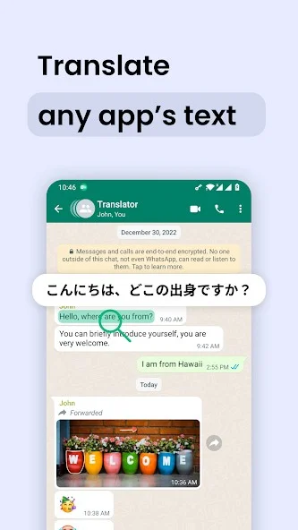 1729927063616.webp