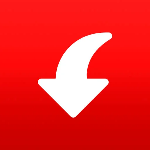 1000130647.webp
