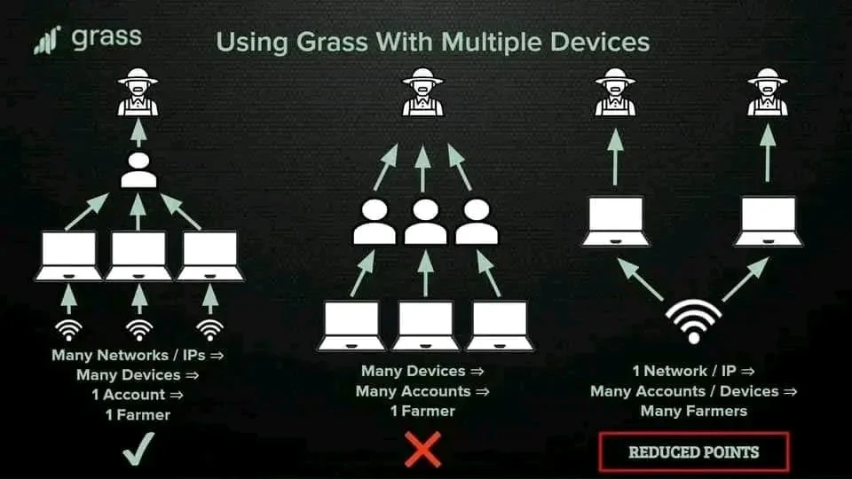 grass guide.jpg