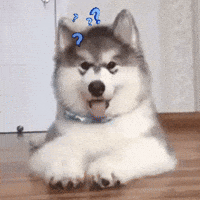 200.gif