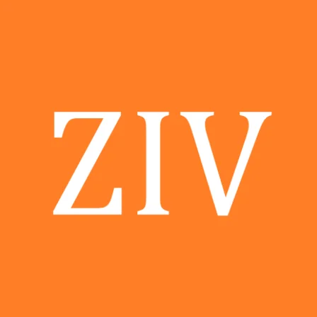 zivpn-tunnel-ssh-dns-vpn-logo.webp