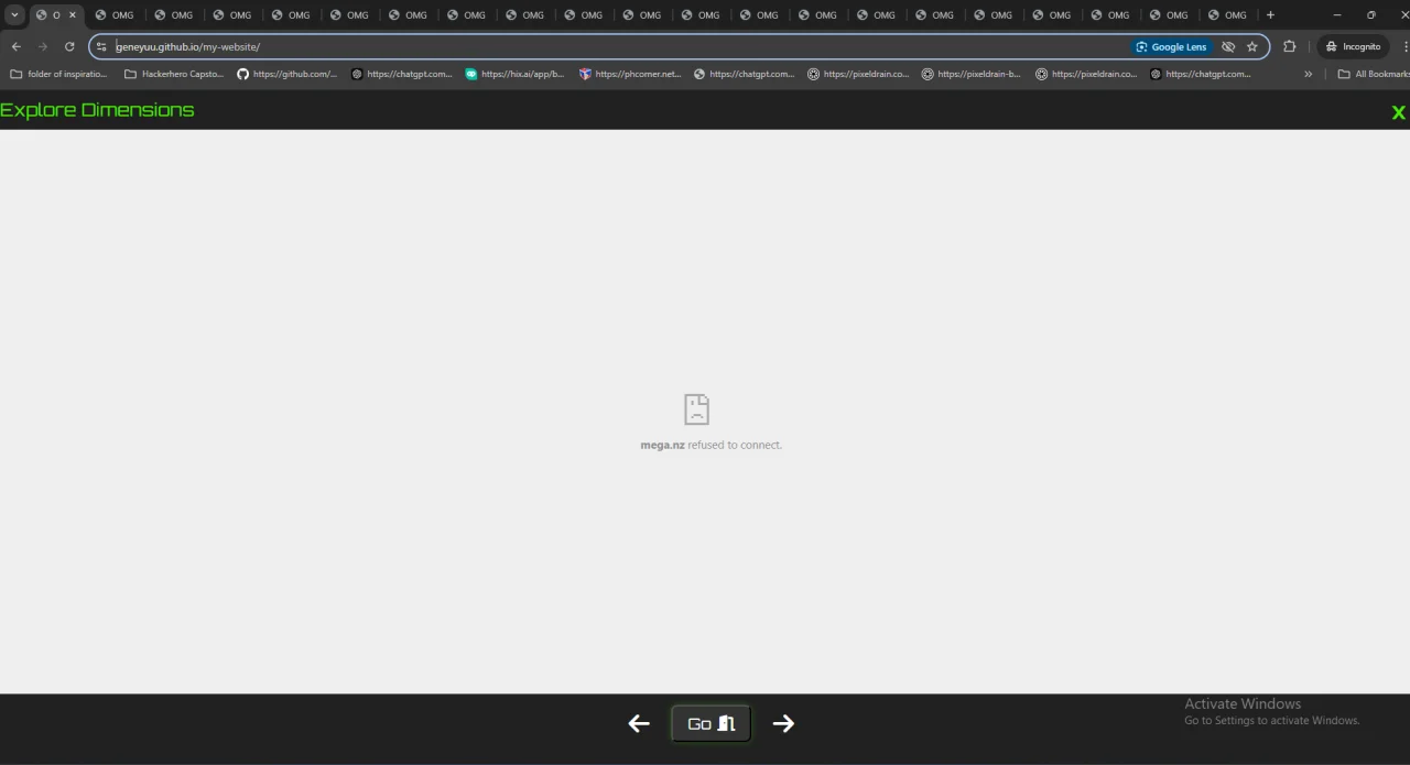 1730570295333.webp