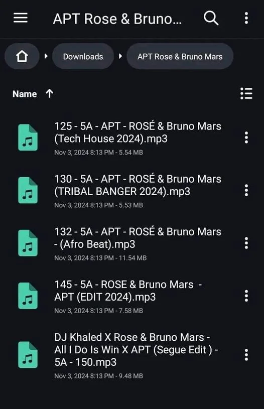 DJ APT ROSE AND BRUNO
