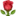 1f339.webp