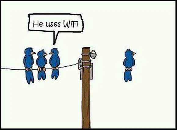 wifi.webp