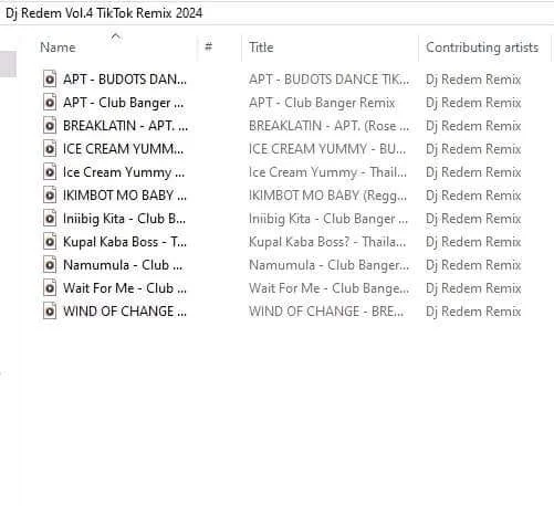 DJ REDEM VOL.4 TIK TOK REMIX 2024