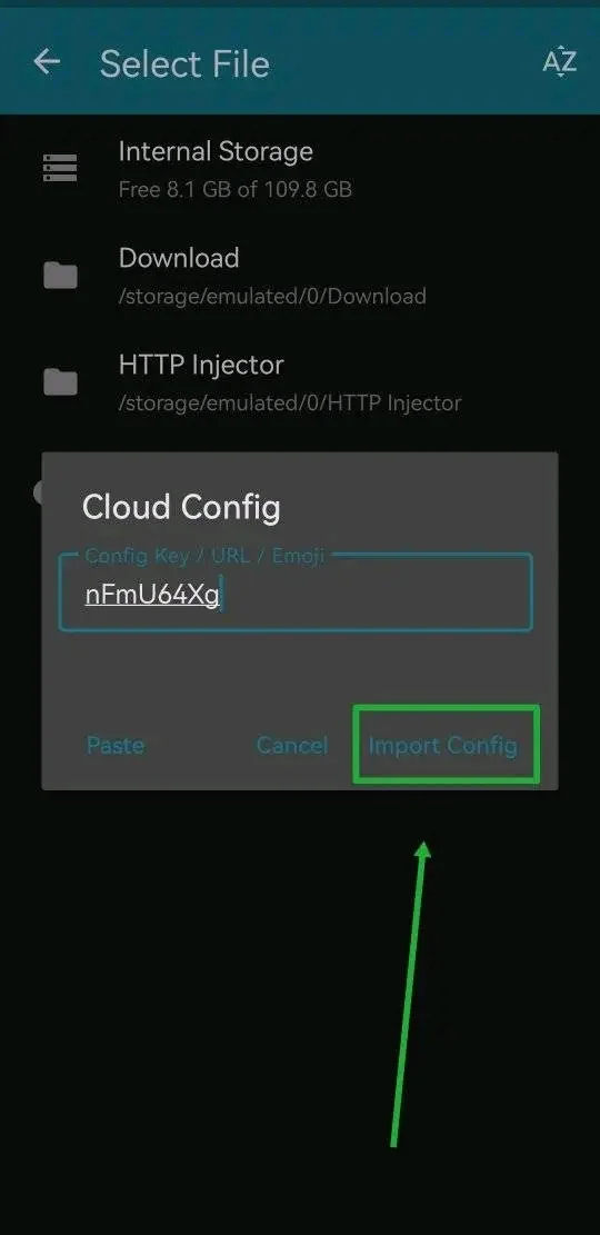 1732078226039.webp