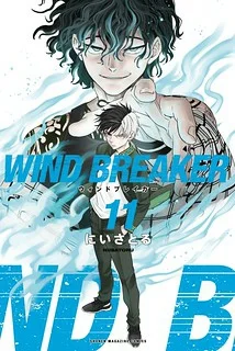 Wind Breaker (NII Satoru).webp