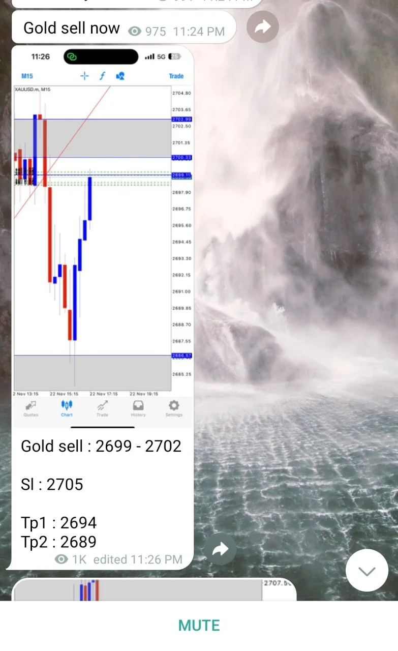 Screenshot_2024-11-23-19-21-45-923_org.telegram.messenger-edit.webp