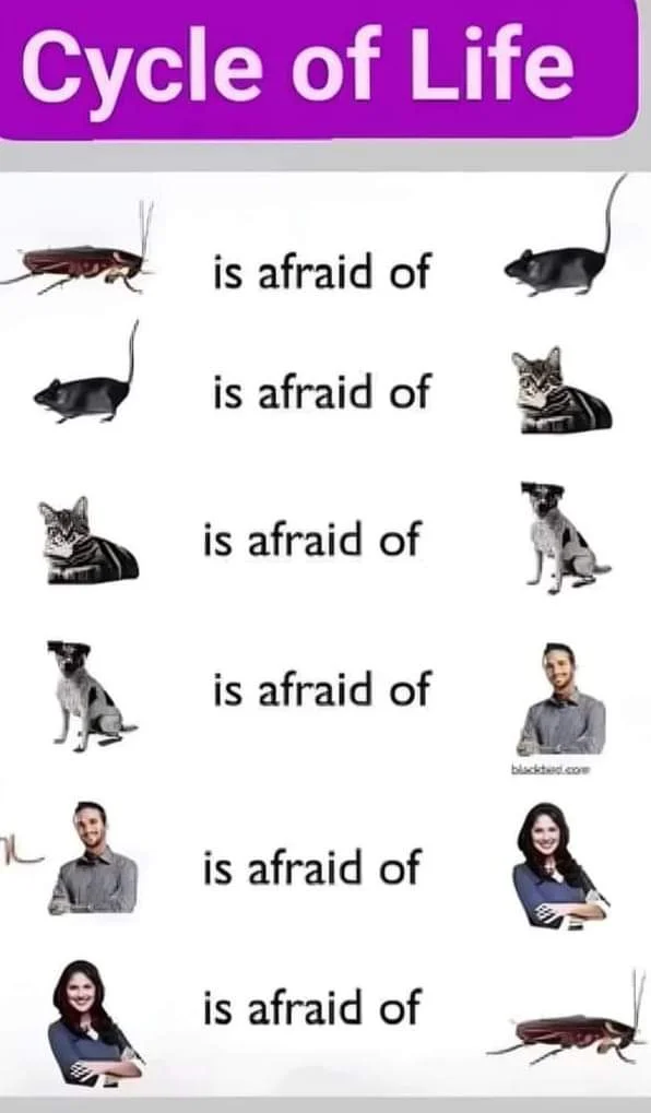 FB_IMG_1732439522673.webp