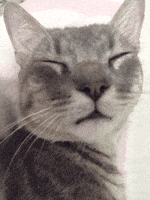 200.gif