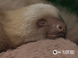 200.gif