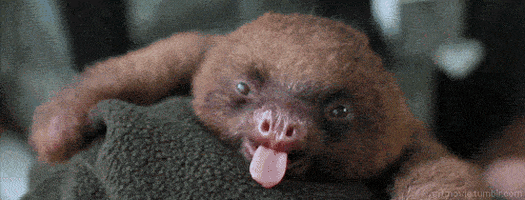 200.gif