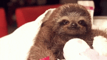 200.gif