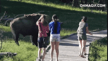 200.gif