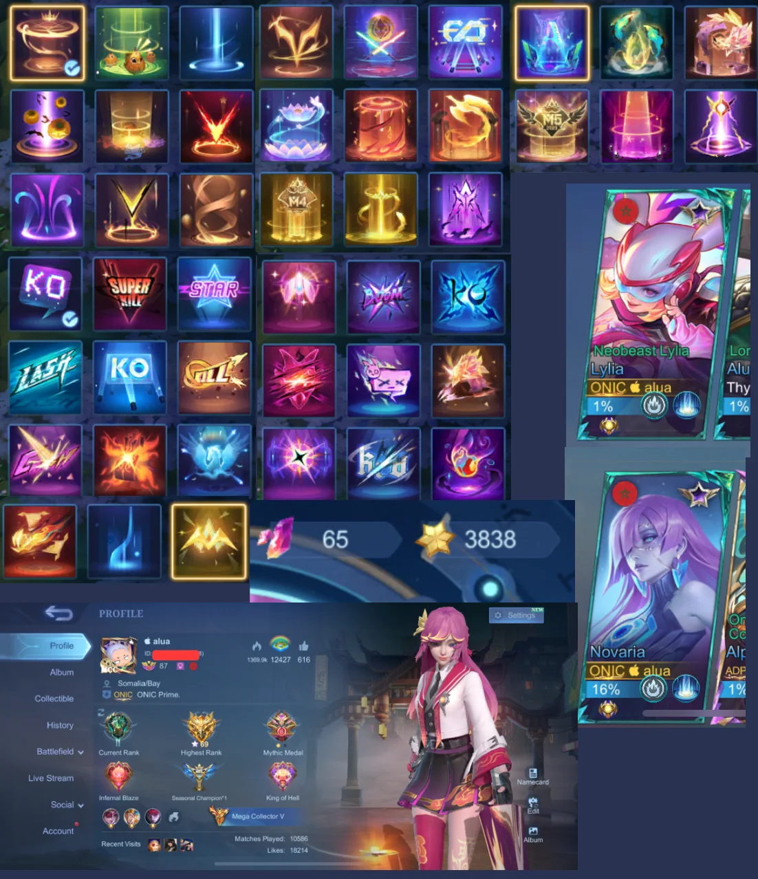 1000163334.png