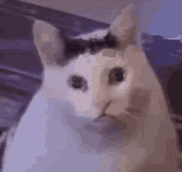 bruh-meme.gif