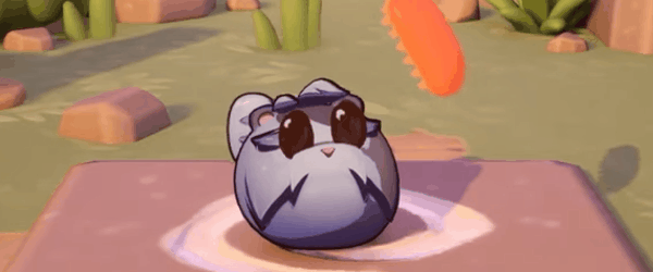 Banner_4_-_Critter_care.gif