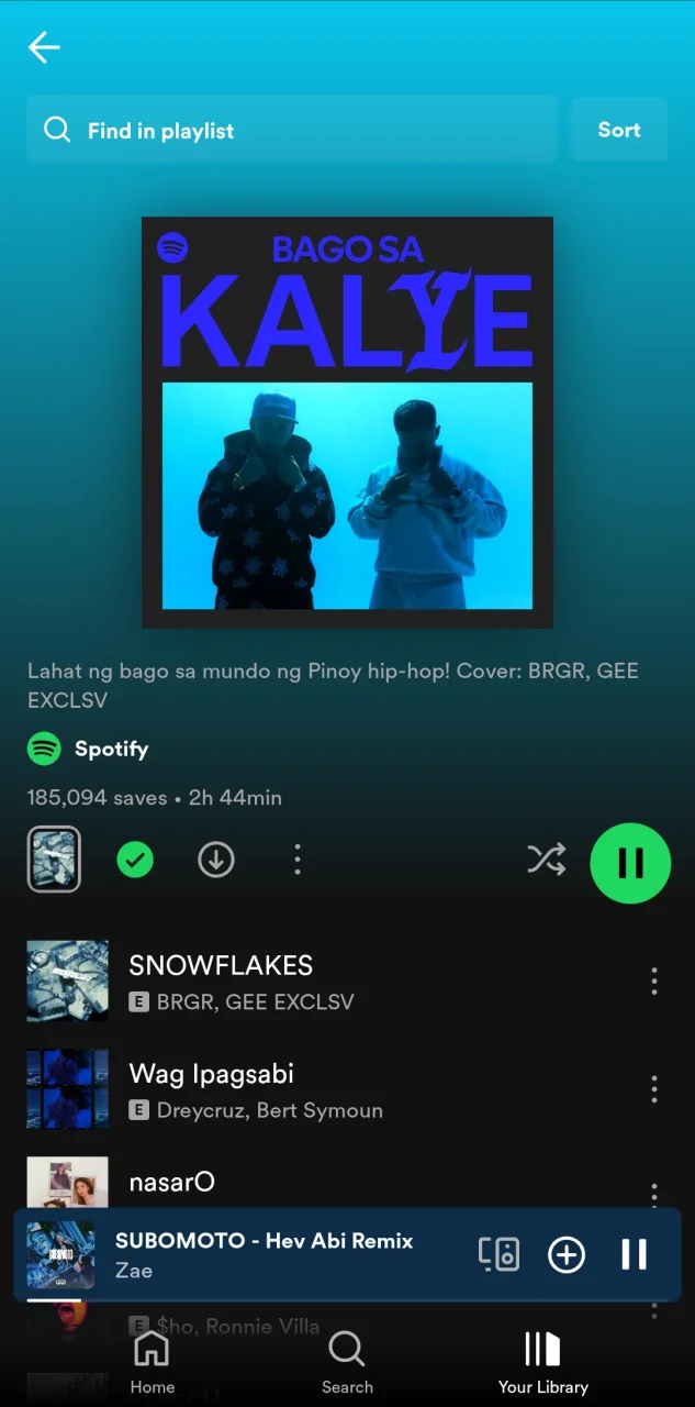 Screenshot_20241129_020851_Spotify.png