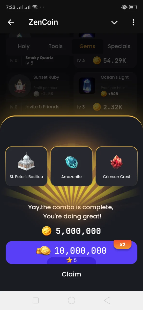 Screenshot_2024-11-29-19-23-14-58.webp