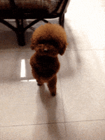 200.gif